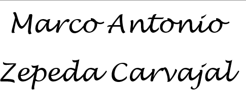 Marco Antonio Zepeda Carvajal logo
