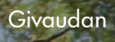 Givaudan Western Europe logo