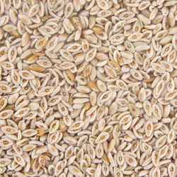 Vitacel  Psyllium Fiber P 95 product image