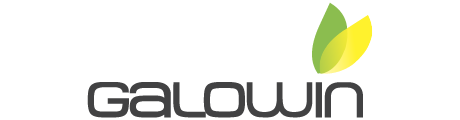 Galowin SA logo