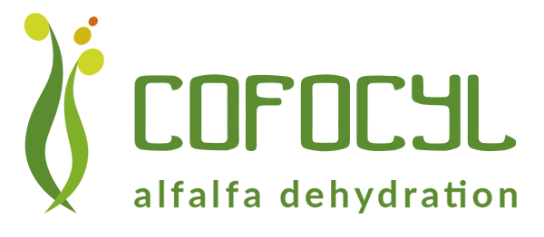 COFOCYL, S.L. logo