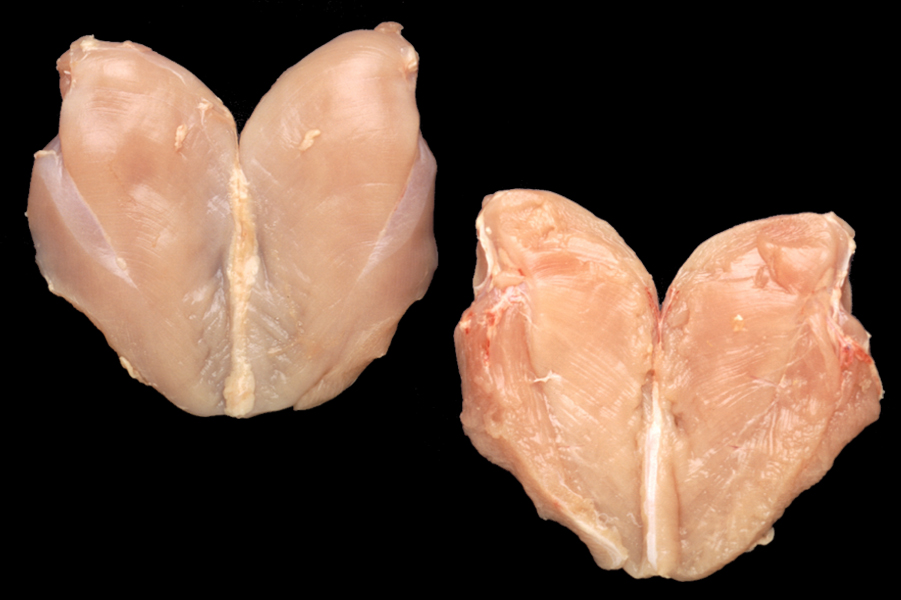 ABF CHICKEN BREAST GRADE A  GAP product image