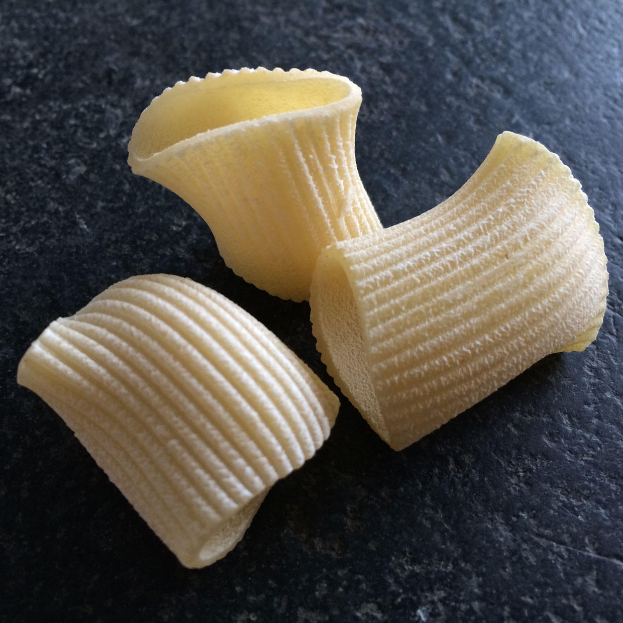 ORGANIC DURUM SEMOLINA RIGATONI - BULK product image