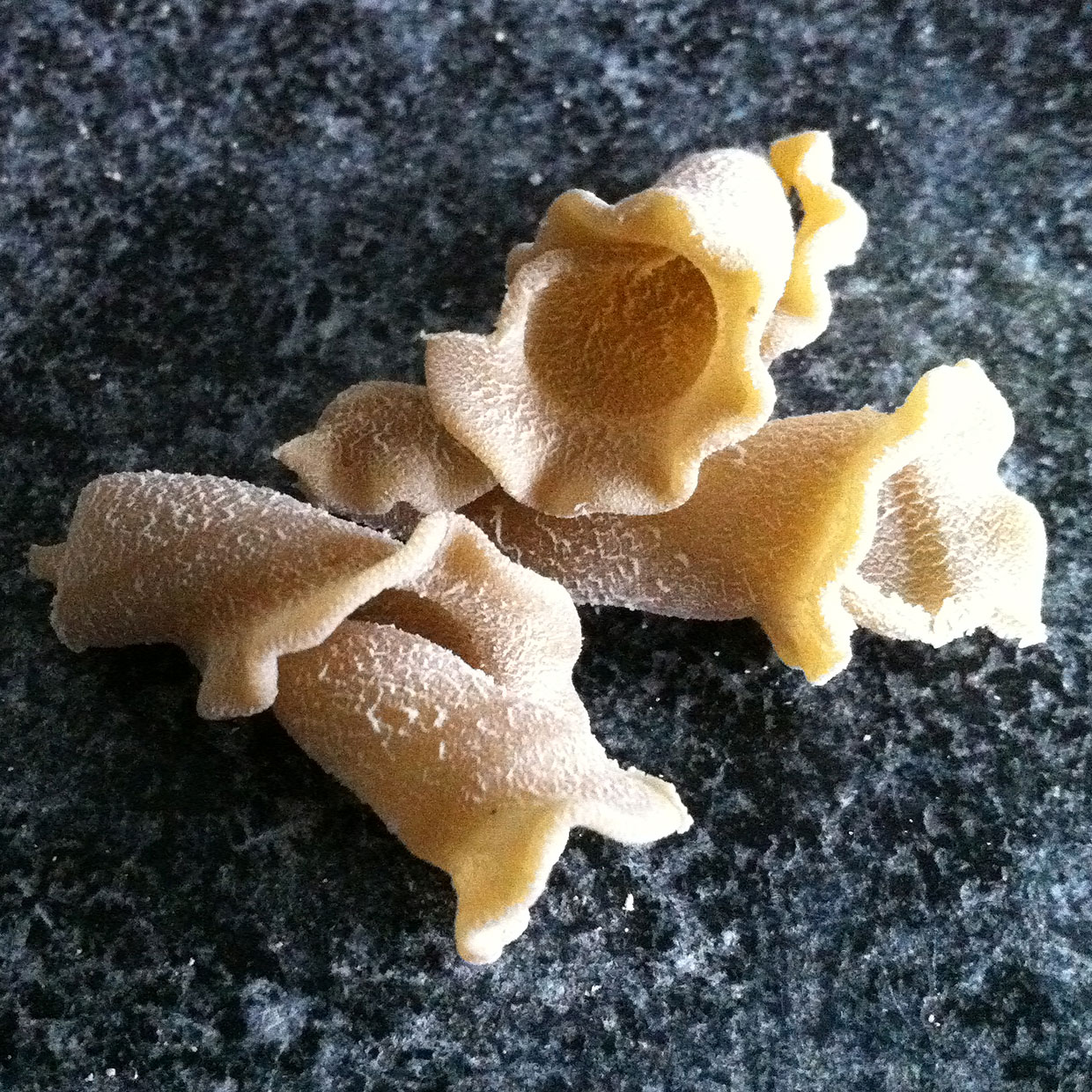 PORCINI TRUMPETS  - BULK product image