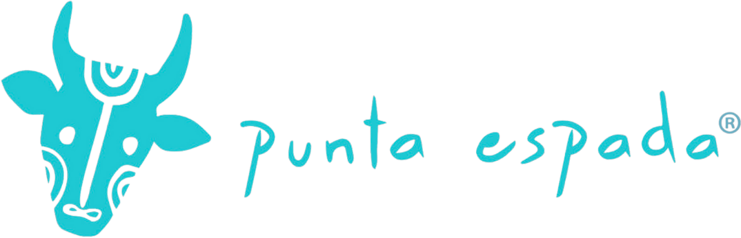 NUEVA SANTANDER S DE PR DE RL DE CV logo