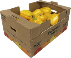 Bell Peppers Yellow 11lb XL product image