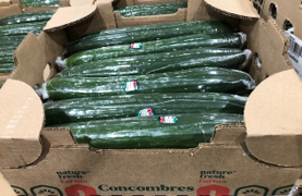 Cucumber English SS product image