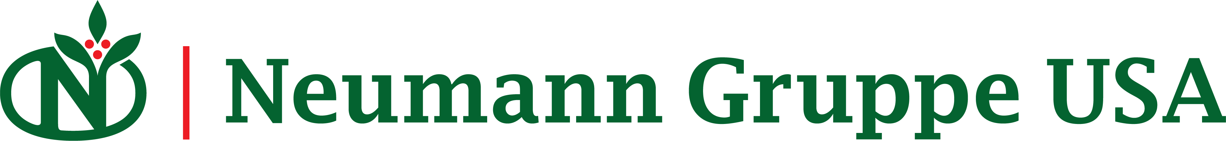 Neumann Gruppe USA logo
