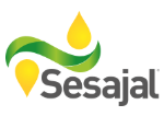 Sesajal LLC-SAT US logo