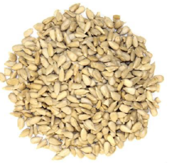 Bakery Grade Sunflower seed product image