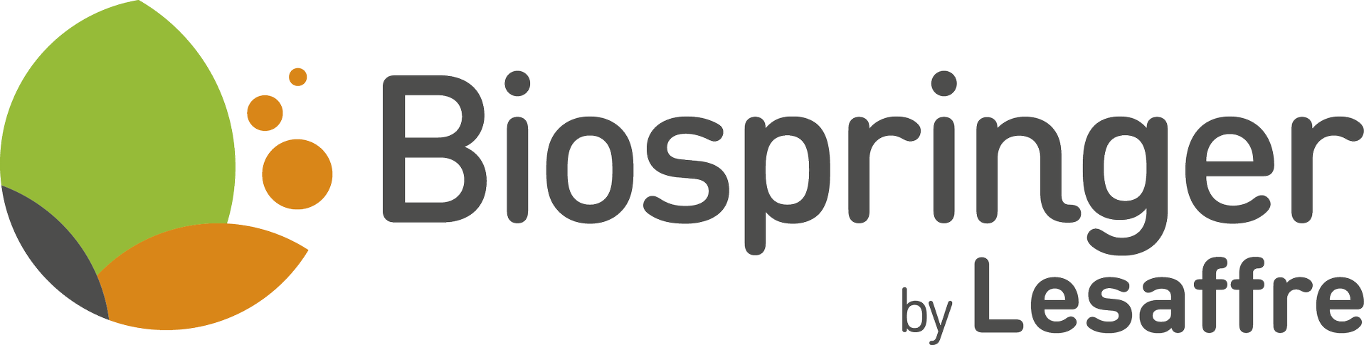 Bio Springer North America Corporation logo