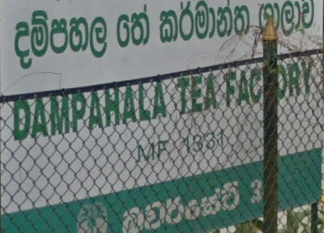 Dampahala Tea Company (Pvt) Ltd logo