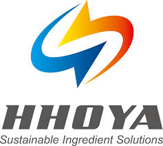 HHOYA BV logo