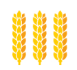 Saalemühle Alsleben logo