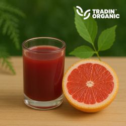 Organic Red Grapefruit Juice Concentrate product image