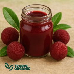 Organic Yumberry Juice Concentrate product image