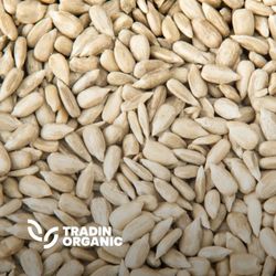 Organic Sunflower Kernels, Chips product image