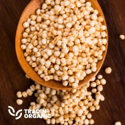 Organic White Quinoa product image