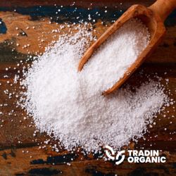 Organic Cassava Flour product image