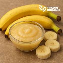 Organic Banana Puree Seedless Non Acidified product image