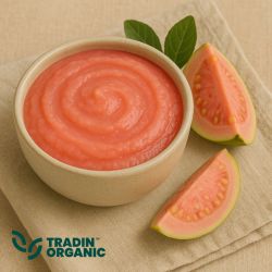 Organic Guava Puree product image