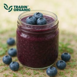 Organic Blueberry Puree product image