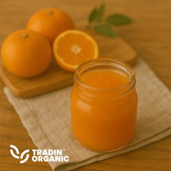 Organic Tangerine Juice Concentrate product image