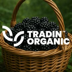 Organic Blackberries Cultivated IQF product image