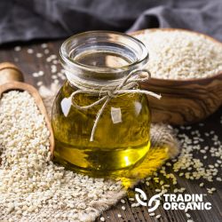 Organic Toasted Sesame Oil product image