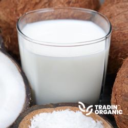 Organic Coconut Milk Powder product image