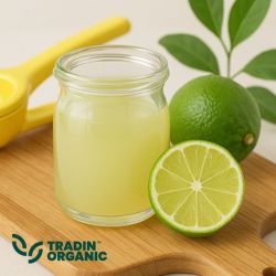 Organic Lime Juice Concentrate product image