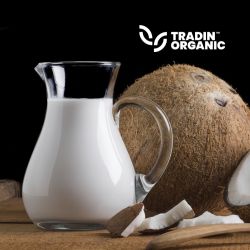 Organic Coconut Cream 30% product image