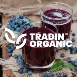 ORGANIC BLUEBERRY JUICE CONCENTRATE product image