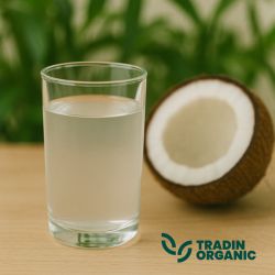 Organic Coconut Water product image