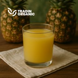 Organic Pineapple Juice NFC MD2 Aseptic product image