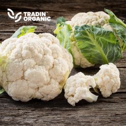 Organic Califlower IQF Florets 20_55 mm product image