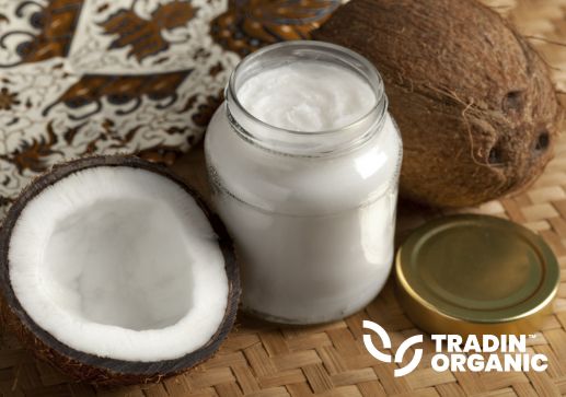 Organic Coconut Oil RBD product image
