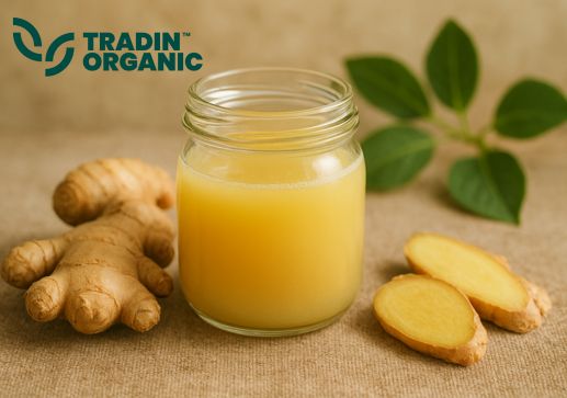 Organic Ginger Juice , NFC , Heat Treated product image