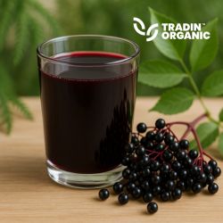 Organic Elderberry Juice Concentrate product image