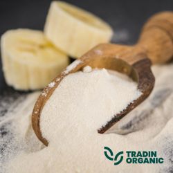 Organic Dried Banana 1/8 Coin with Whole Banana Flour product image