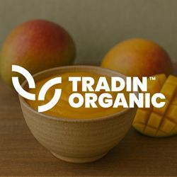 Aseptic Alphonso Mango Puree SS India Organic Tradin Organic product image