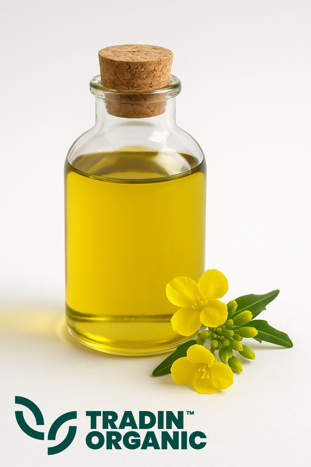 Organic Canola Oil RBD product image