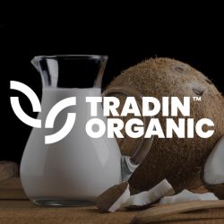 Organic Coconut Cream 30% product image