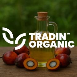 Org Palm Oil product image
