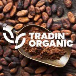 Organic Cocoa Powder 10/12 Alkalized product image