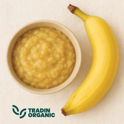 Organic Dried Banana Paste product image
