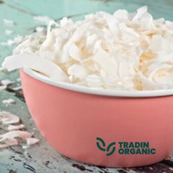 Organic Coconut Chips Raw product image