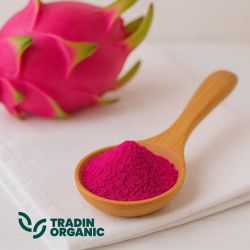 Organic Dragon Fruit Powder, Freeze Dried product image