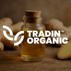 Ginger Extract PURGINGER product image