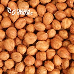 Organic Dry Hazelnut Kernels, Roasted product image